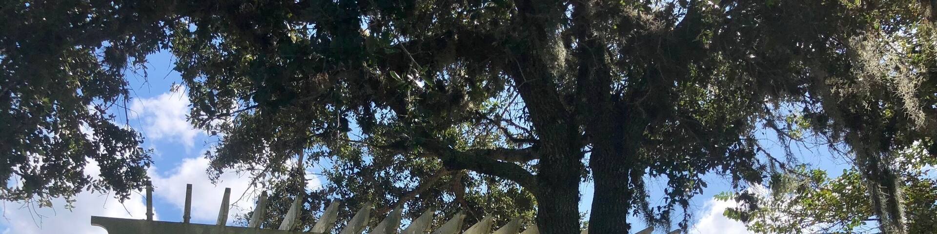 A lovely place to sit and watch the world go by.