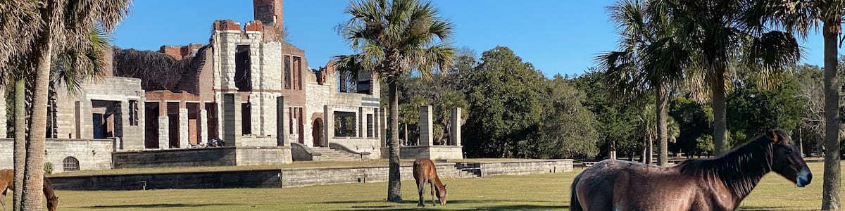 Un bâtiment historique doté d’une tour en briques et de colonnes, entouré de palmiers et agrémenté d’une statue de cheval.