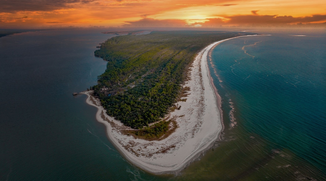 Aerial shot of Jekyll Island Beach in Georgia Golden Isles
