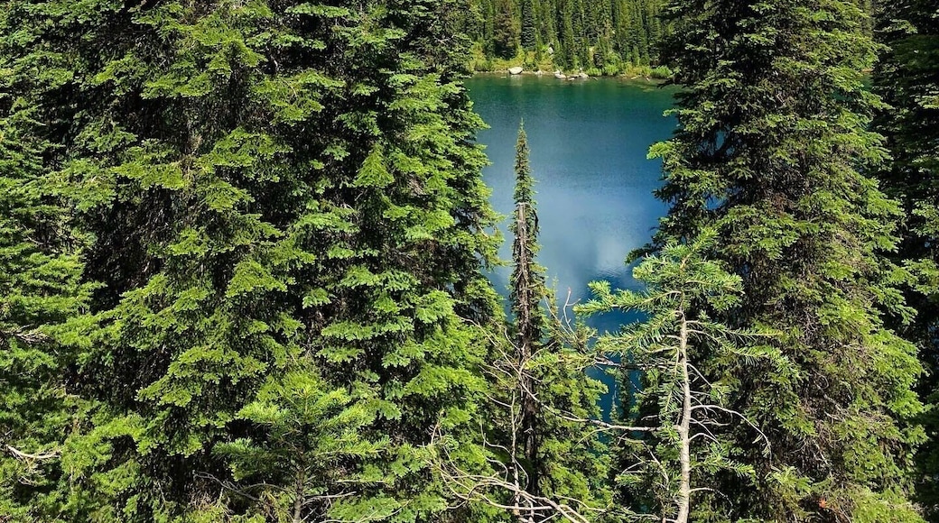 #trovember
Lake Superior