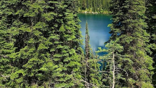 #trovember
Lake Superior