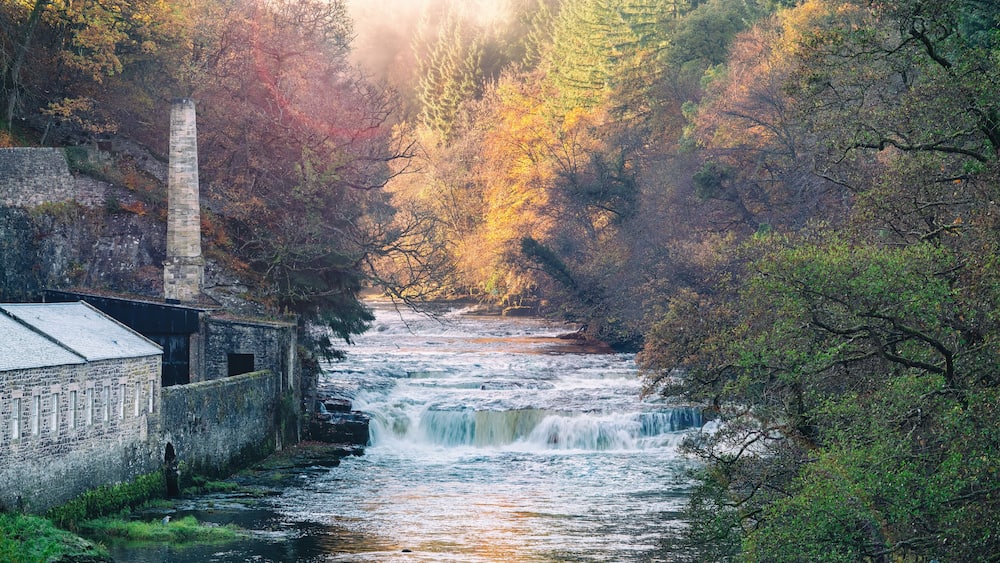 A river flowing through a forested area with a stone building on the left.