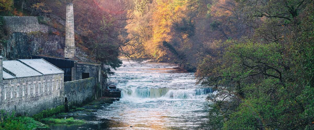 A river flowing through a forested area with a stone building on the left.