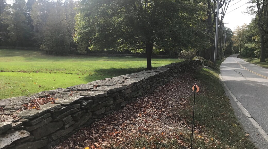 Lovely rock walls in Connecticut.
