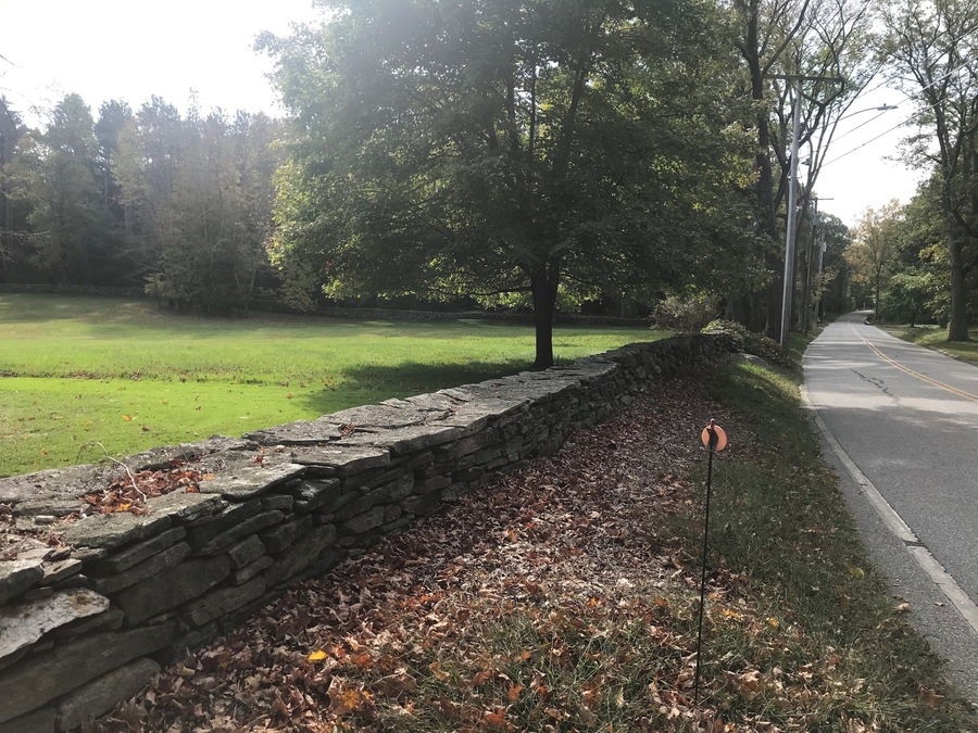 Lovely rock walls in Connecticut.