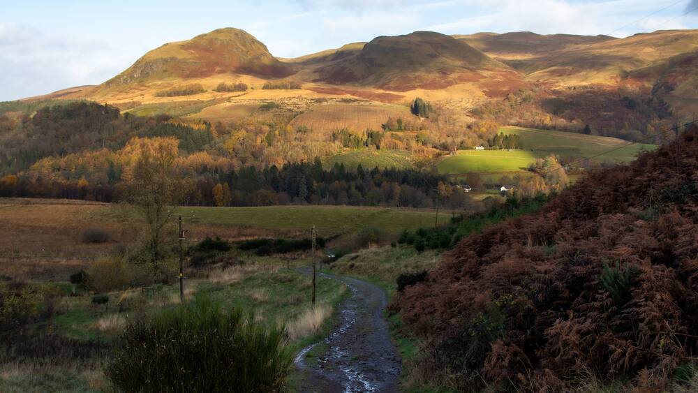 Muddy path through fields in golden winter light, Scotland