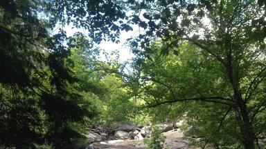 Cunningham Falls in the Catoctin Mountains near Camp David.