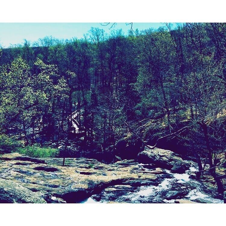 #Hiking