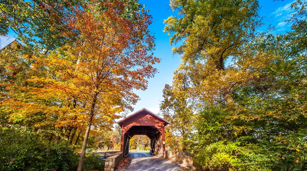 Maryland Covered Bridge in Autumn