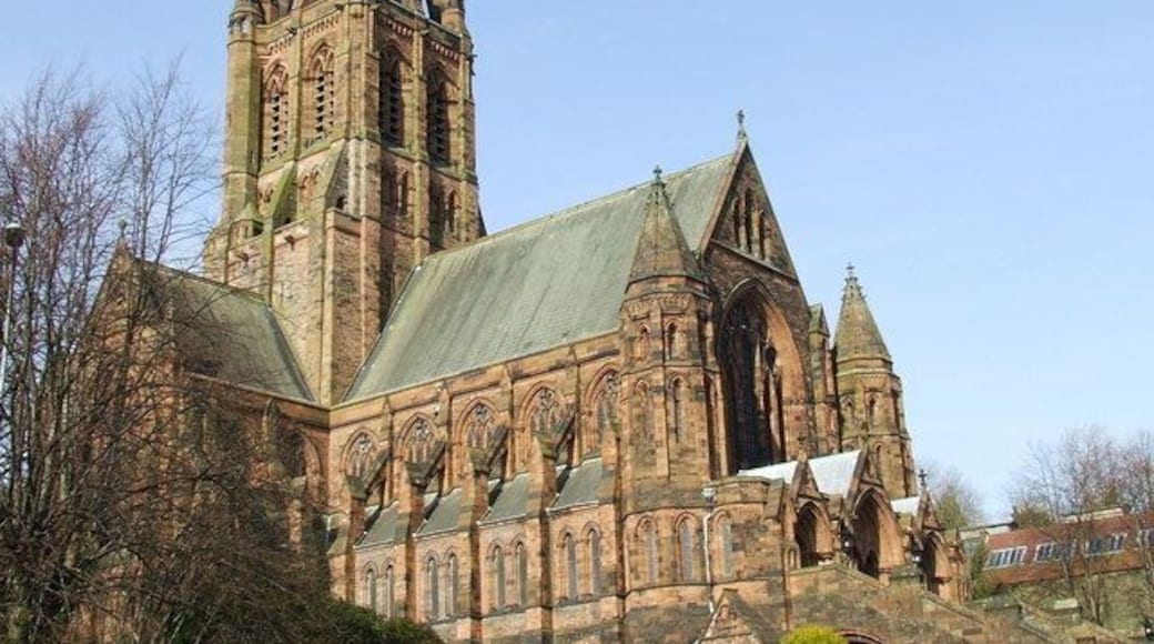 Paisley