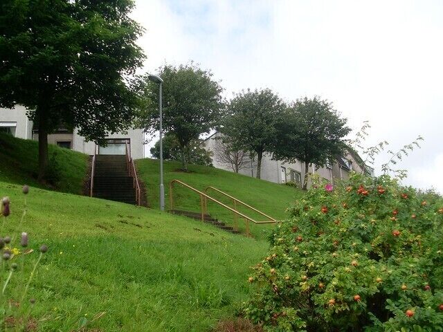 Steps up to Glenapp Avenue From Barrhead Road, near Hawkhead Roundabout.