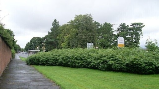 Pavement by Barrhead Road