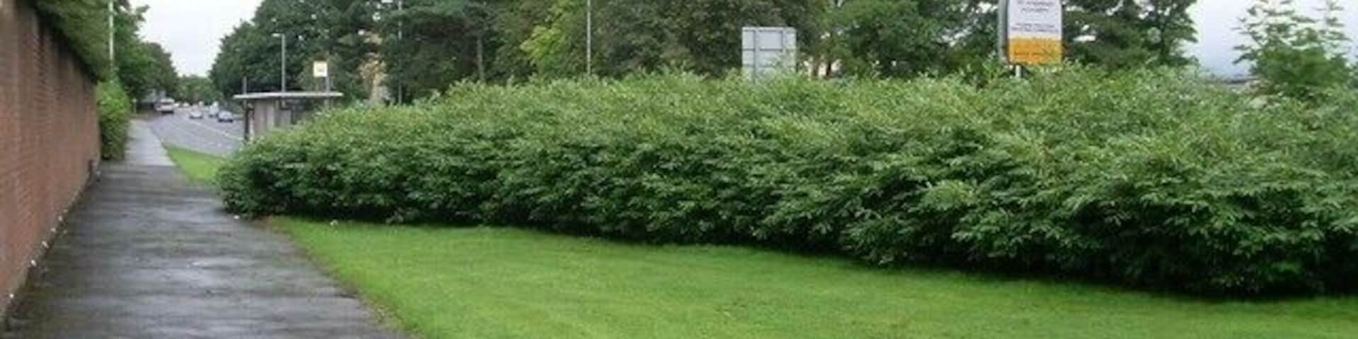 Pavement by Barrhead Road