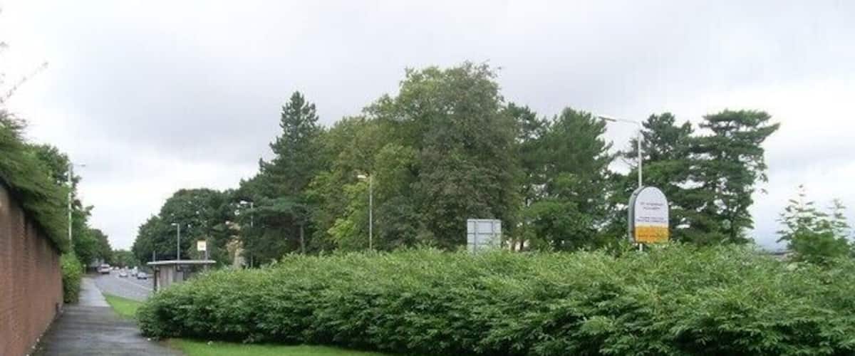 A paved pathway alongside a well-maintained grassy area with a hedge and trees in the background.