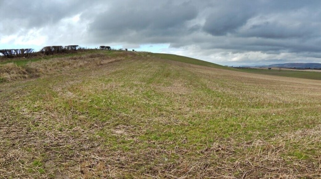 Lower slopes of Honeybog Hill