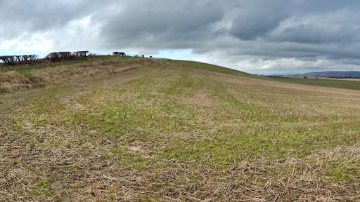 Lower slopes of Honeybog Hill