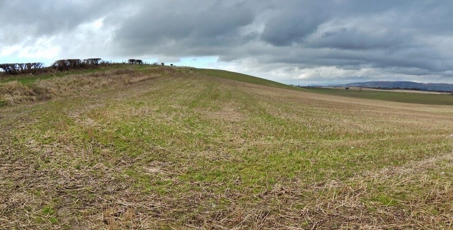 Lower slopes of Honeybog Hill