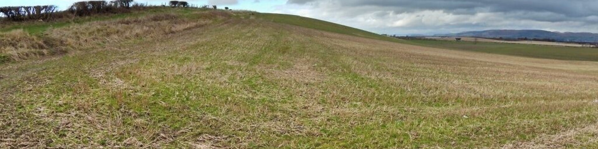 Lower slopes of Honeybog Hill