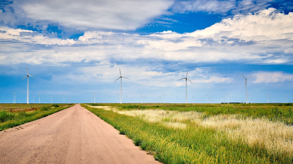 A dirt road leading through a field with multiple wind turbines in the distance under a partly cloudy sky.