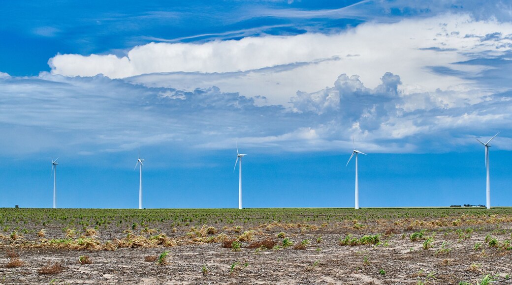 Windmils With Open Field