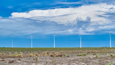 Windmils With Open Field