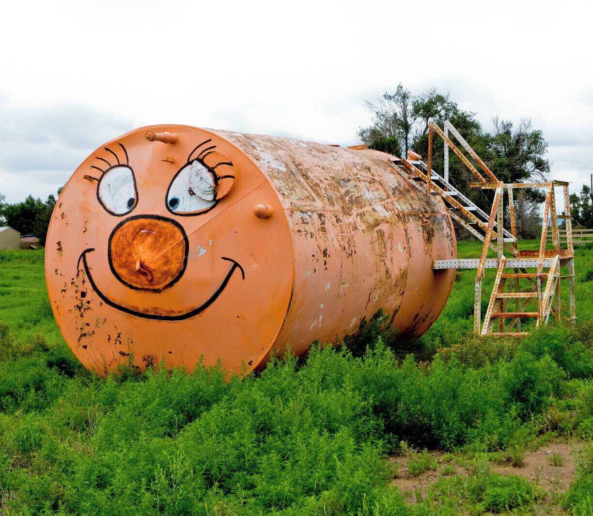 A large orange cylindrical structure with a smiling face and eyes, surrounded by green grass and a metal ladder.