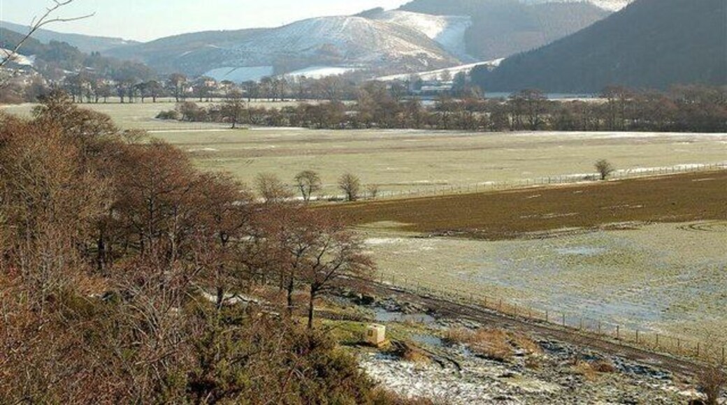 Tweed Valley View Looking down the Tweed Valley near Innerleithen. Only the foreground of this shot is in the square. The floodplain and the hills are in adjoining squares.