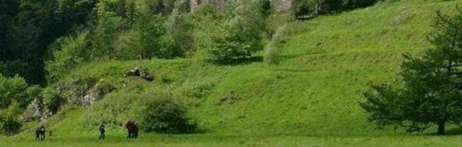Neidpath Castle. The Tweed flowing along below.