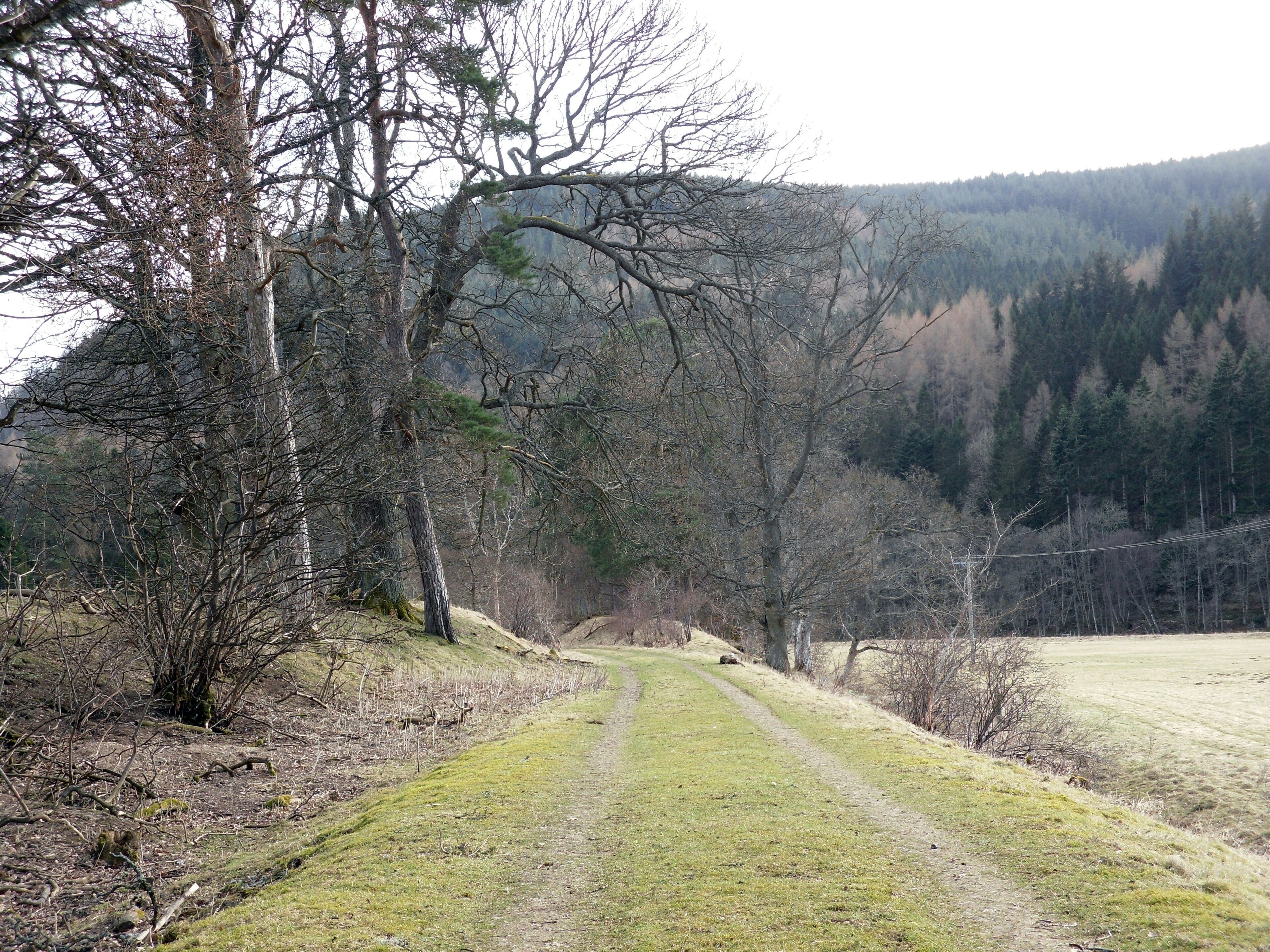 The Woodend Cutting On the old Peebles, Galashiels Railway Line