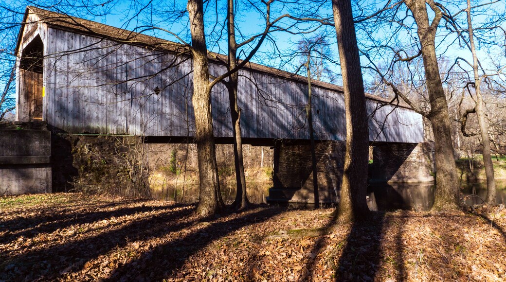 Tyler State Park, Pennsylvania