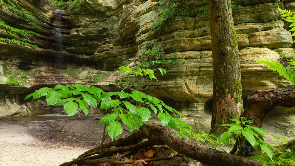 St Louis Canyon.
