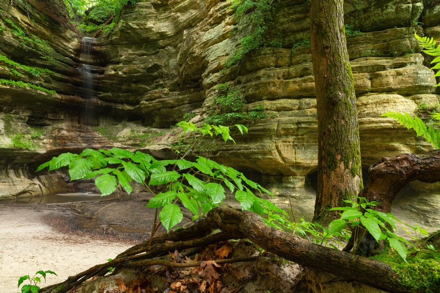 St Louis Canyon.