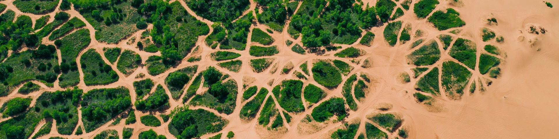 An aerial view of a desert with scattered green vegetation and winding paths.
