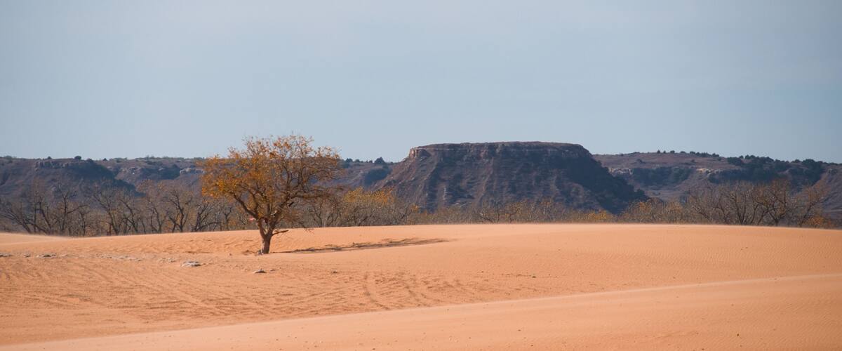A desert landscape with a prominent sand dune, sparse vegetation, and a rocky hill in the background.