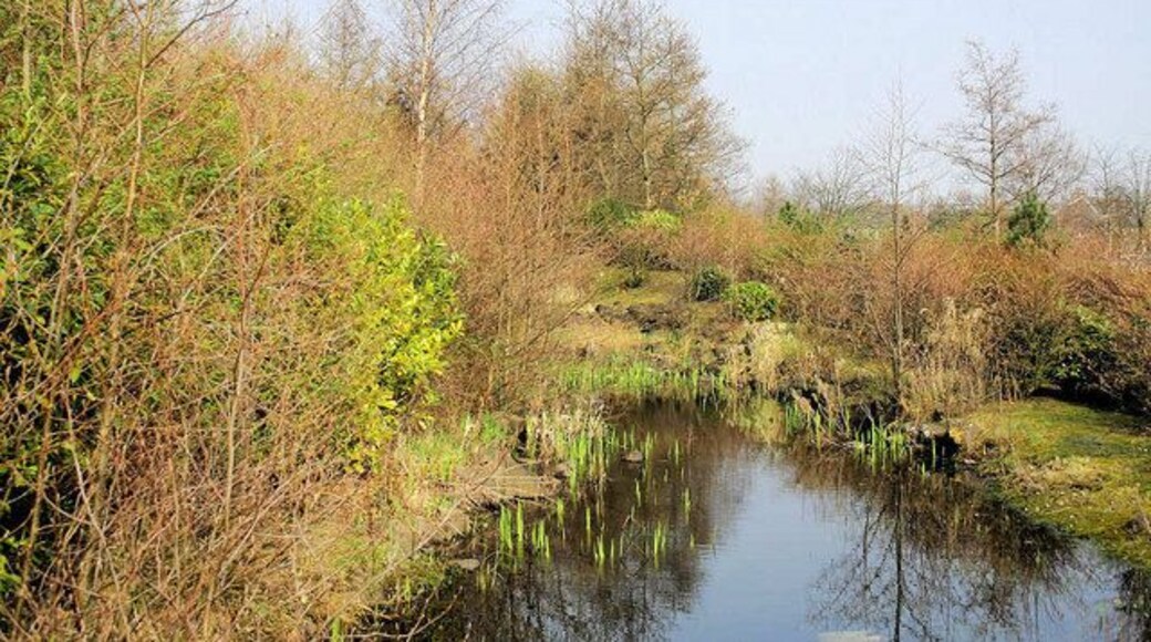 Duck Habitat A smaller pool at Barnsford Avenue,Inchinnan