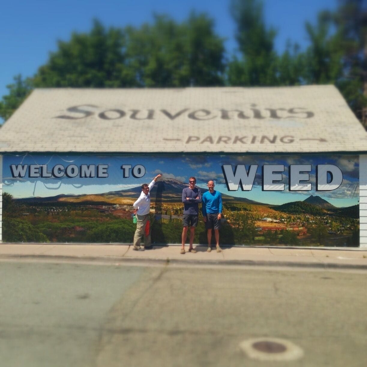 The Weed Store in Weed, California. A nice family owns and runs the joint. Great photography of Mt Shasta for sale inside. 