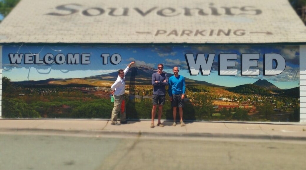 The Weed Store in Weed, California. A nice family owns and runs the joint. Great photography of Mt Shasta for sale inside.