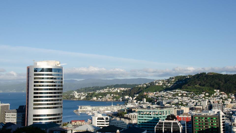 View of wellington city buildings from botanic gardens