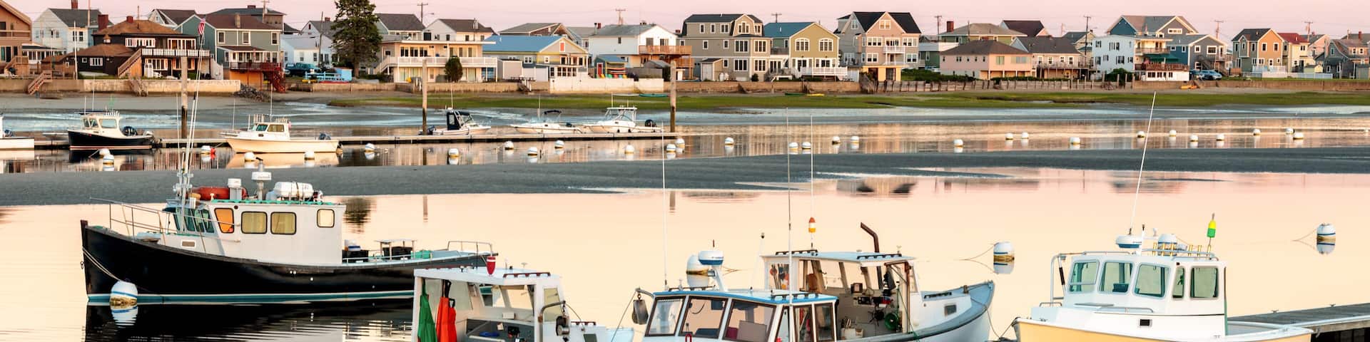 A marina with several boats docked, a calm water body, and houses in the background.