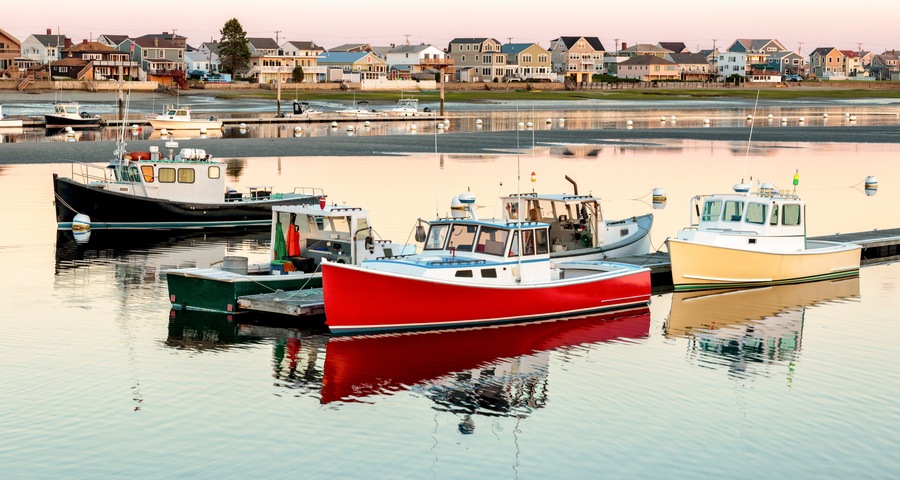 A marina with several boats docked, a calm water body, and houses in the background.