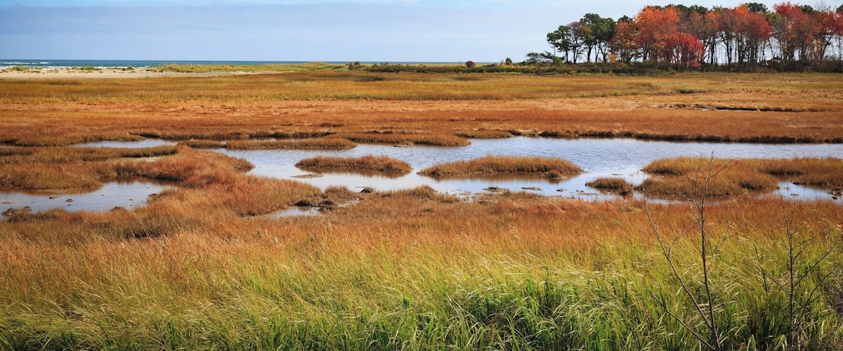 Wells National Estuarine Reserve