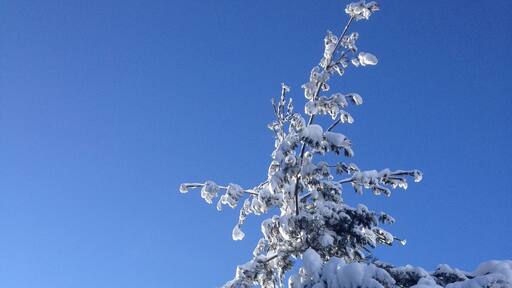 Another beautiful image of the power of Snow
#GreatOutdoors
