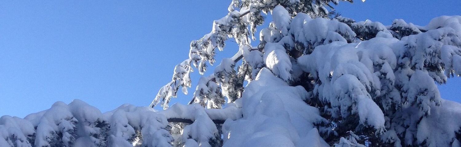 Another beautiful image of the power of Snow
#GreatOutdoors