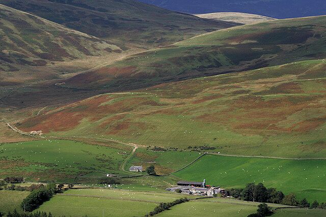 Rolling green hills, a small white building, and a winding road.