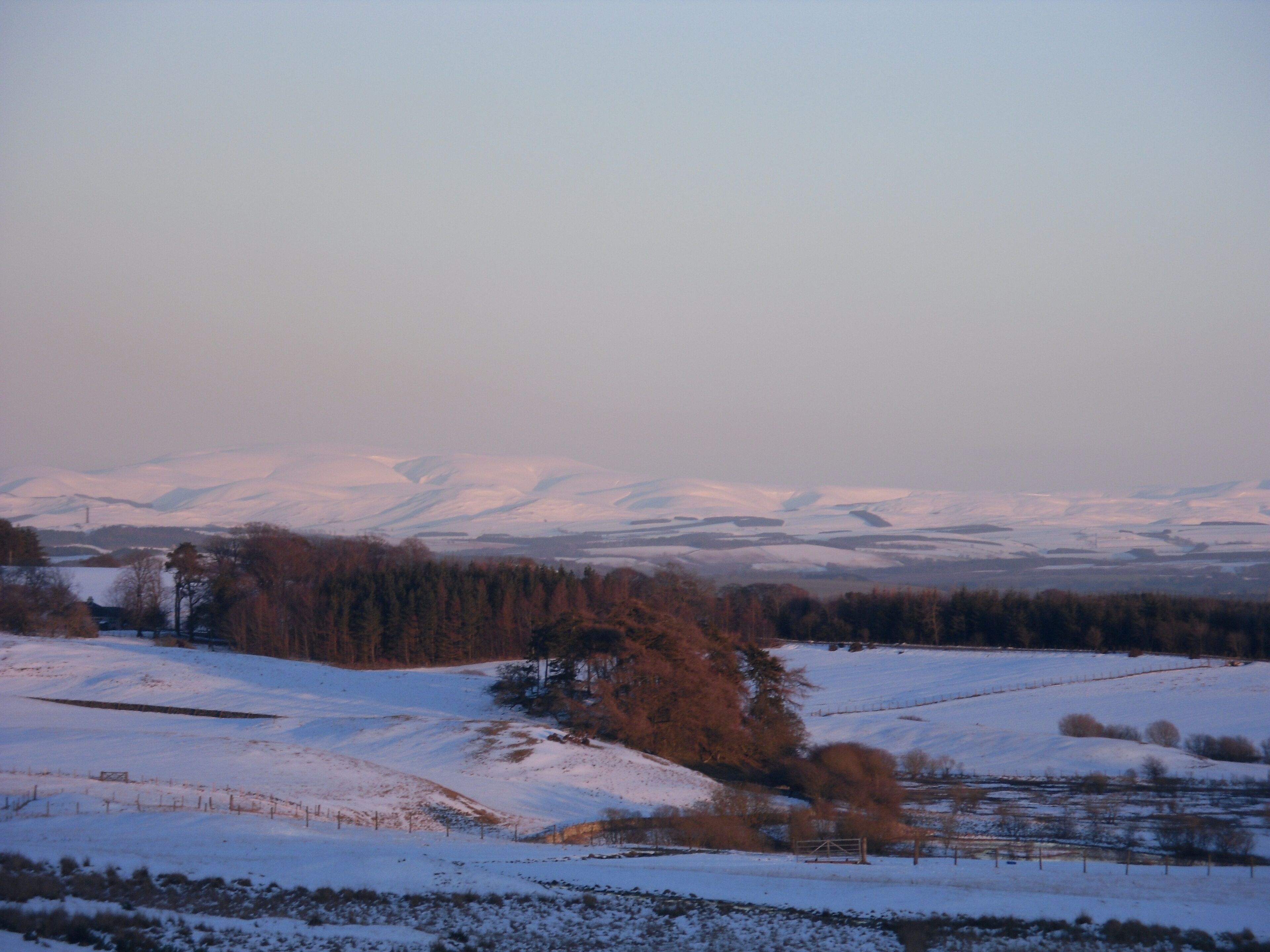 Murder Moss with "Muckle" Cheviot in the background The Cheviot had a super Alpine Glow in the evening light.