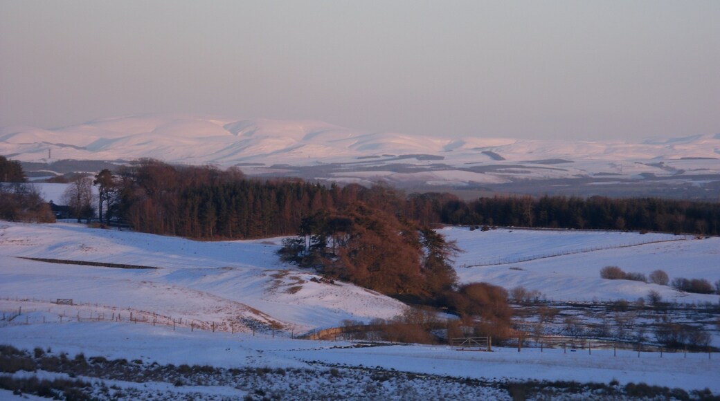 Murder Moss with "Muckle" Cheviot in the background The Cheviot had a super Alpine Glow in the evening light.