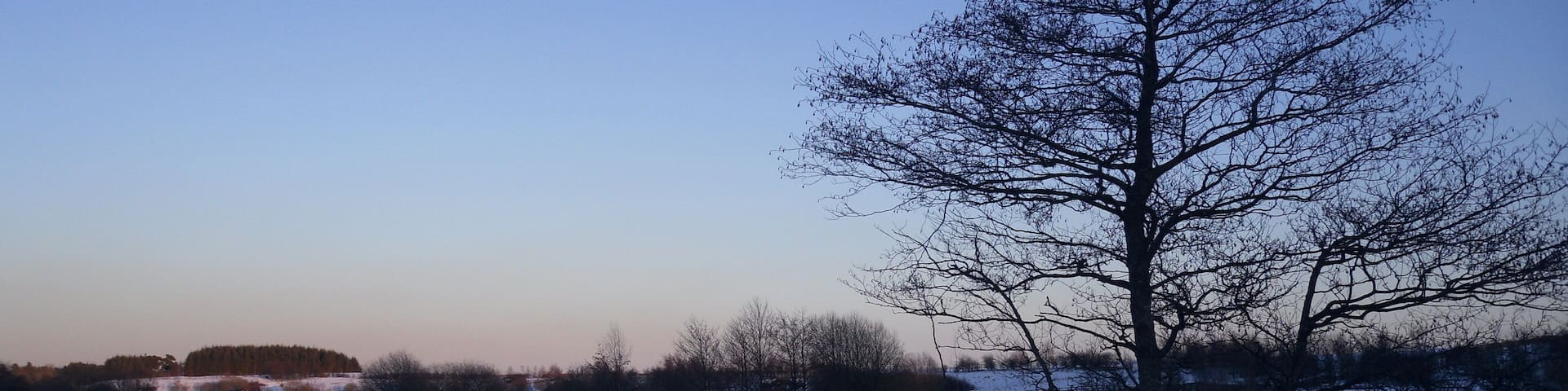 Looking East on the Nature Reserve