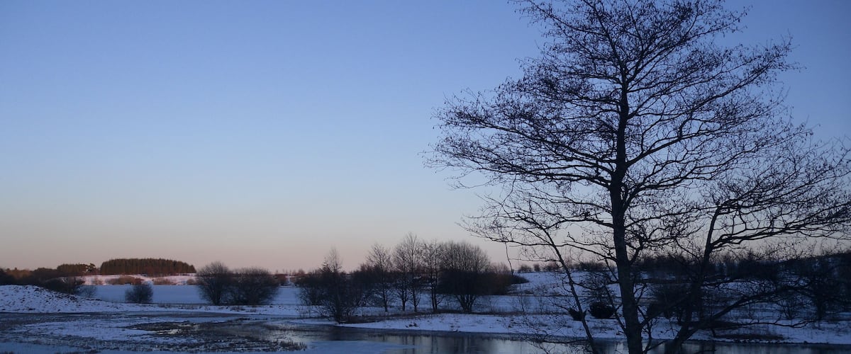 A snow-covered landscape with a tree in the foreground and a body of water in the background.