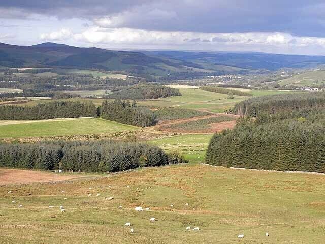 A rural landscape with rolling hills, scattered trees, and grazing sheep.