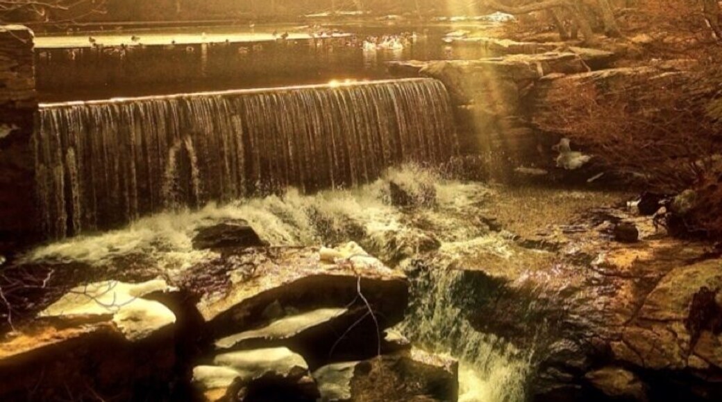 The Falls at the Old Mill in February